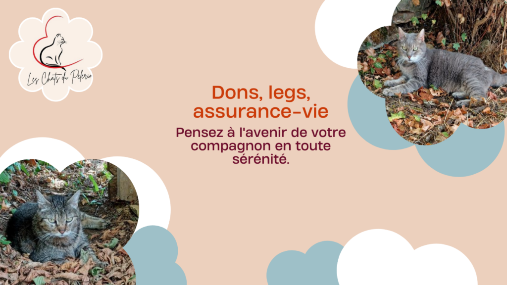 Faire un legs à la maison-retraite Les Chats du Pèlerin